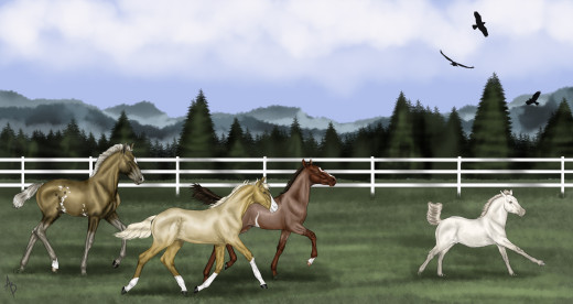 749936 (a): :3000x1590